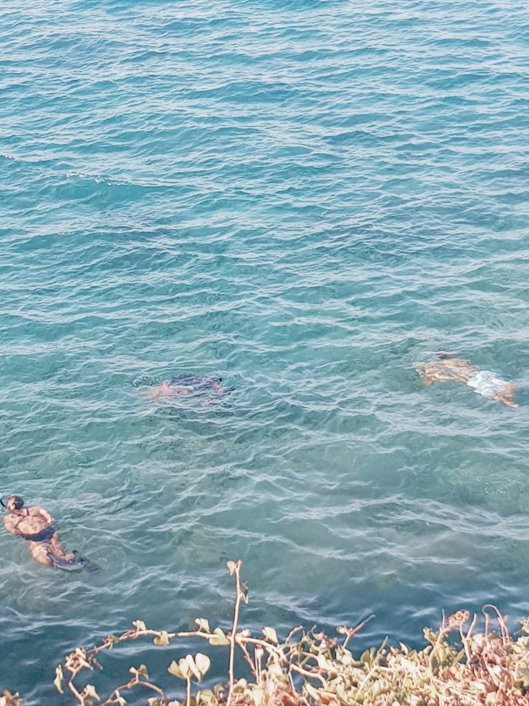 Snorkelen op Zakynthos bij Cameo Island